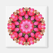 APPARATEN MAGNEET (Voorkant)