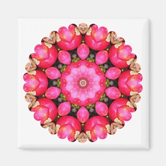 APPARATEN MAGNEET (Voorkant)