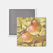 APPARATEN MAGNEET (Voorkant / Achterkant)