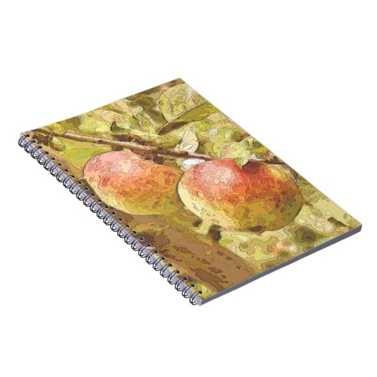 APPARATEN NOTITIEBOEK (Rechterzijde)