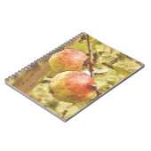 APPARATEN NOTITIEBOEK (Linkerzijde)