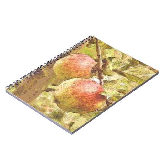 APPARATEN NOTITIEBOEK (Linkerzijde)