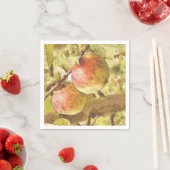 APPARATEN SERVET (Insitu)