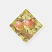 APPARATEN SERVET (Hoek)