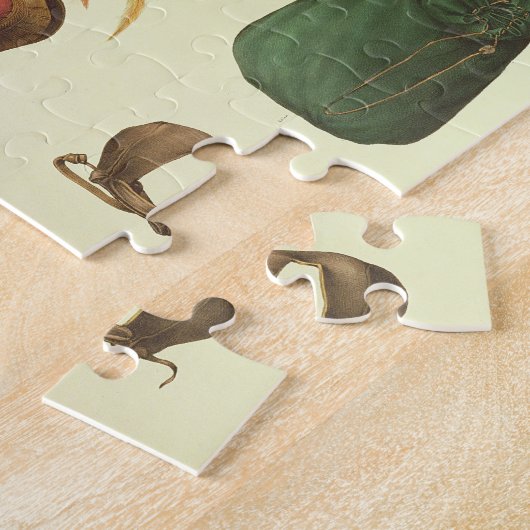 Apparatuur voor Falconry, van 'Traite de Fauconner Legpuzzel (Zijkant)