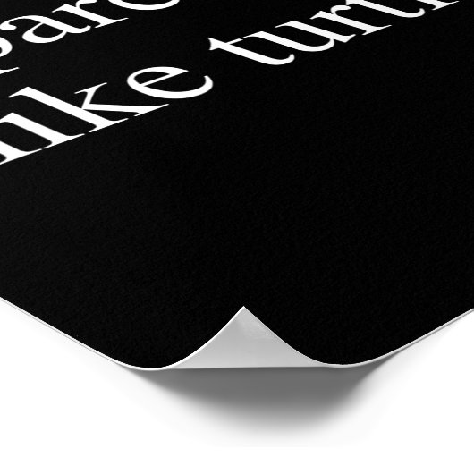 Apparently I Like Turtles Funny Turtle Lover  Poster (Hoek)