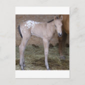 appbabe briefkaart (Voorkant)