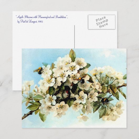 appel bloesems briefkaart (Voorkant / Achterkant)