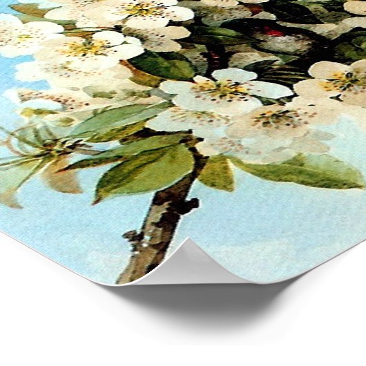  appel bloesems poster (Hoek)