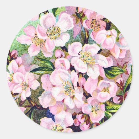  appel bloesems Sticker (Voorkant)