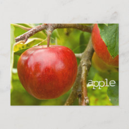 "appel" Briefkaart uit Spreuken 7:2
