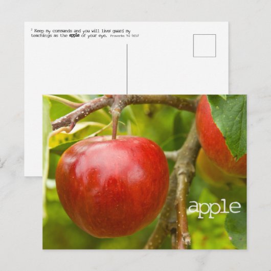 "appel" Briefkaart uit Spreuken 7:2 (Voorkant / Achterkant)