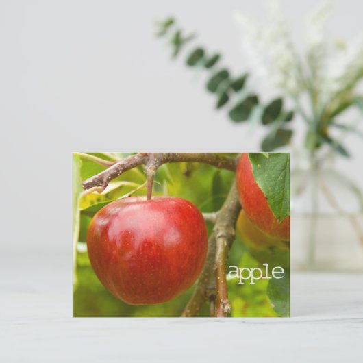 "appel" Briefkaart uit Spreuken 7:2 (Staand voorkant)