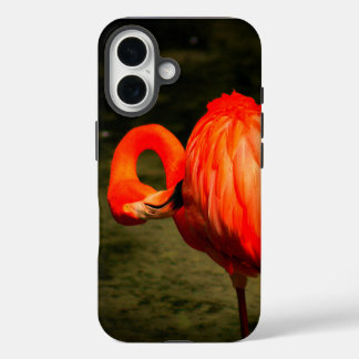 APPEL iPHONE HOES MET EEN FLAMINGO ONTWERP