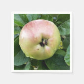 APPEL SERVET (Voorkant)