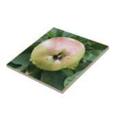 APPEL TEGELTJE (Zijkant)