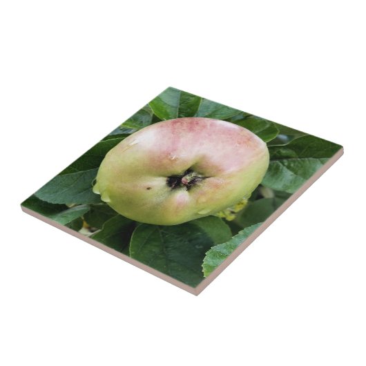 APPEL TEGELTJE (Zijkant)