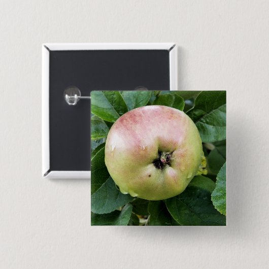 APPEL VIERKANTE BUTTON 5,1 CM (Voorkant /achterkant)