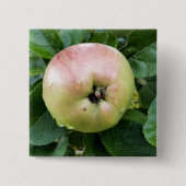 APPEL VIERKANTE BUTTON 5,1 CM (Voorkant)