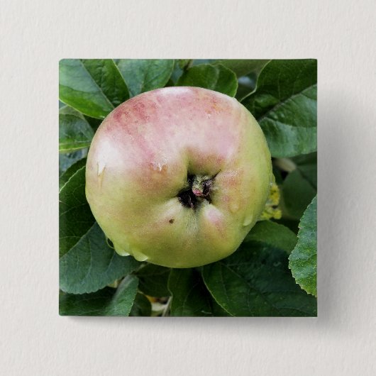 APPEL VIERKANTE BUTTON 5,1 CM (Voorkant)