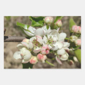 Appelbloem Inpakpapier Vel (Voorkant 2)