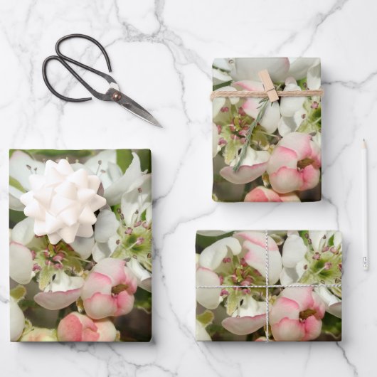 Appelbloem Inpakpapier Vel (Voorkant)