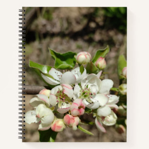 Appelbloem Notitieboek