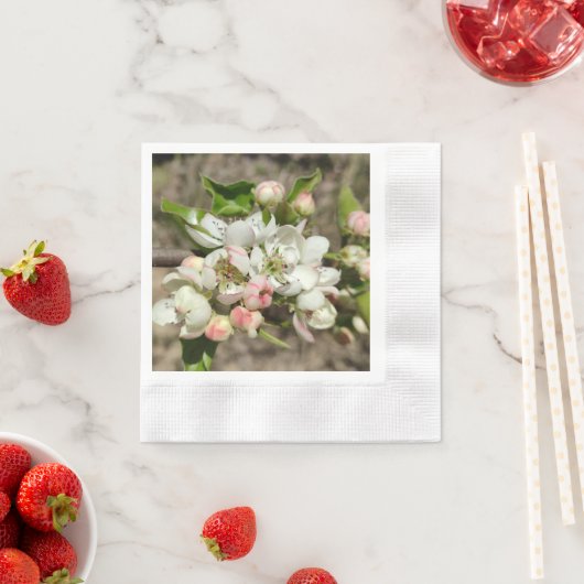 Appelbloem Servet (Insitu)