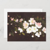 Appelbloemen Briefkaart (Voorkant / Achterkant)