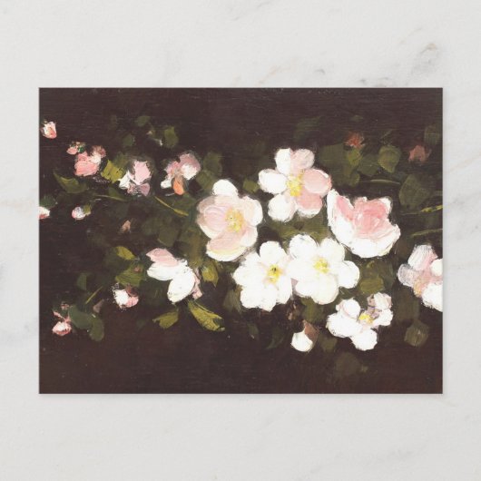 Appelbloemen Briefkaart (Voorkant)