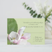 appelbloemen groene RSVP-kaart Kaart (Staand voorkant)