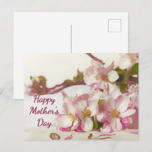 Appelbloesem Ansichtkaart Briefkaart (Voorkant / Achterkant)