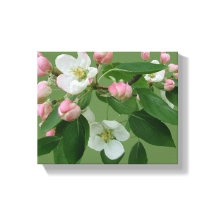  appelbloesem bloesem eenvoudig groen Hygge plezie