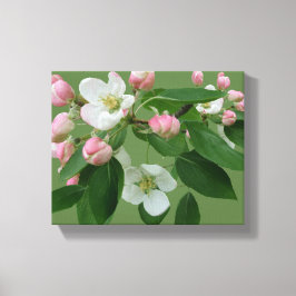 appelbloesem bloesem eenvoudig groen Hygge plezie Canvas Afdruk