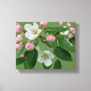  appelbloesem bloesem eenvoudig groen Hygge plezie Canvas Afdruk