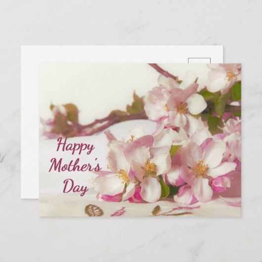 Appelbloesem briefkaart (Voorkant / Achterkant)