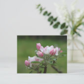 appelbloesem en groene bladeren briefkaart (Staand voorkant)