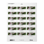 appelbloesem en groene bladeren etiket (Full Sheet)