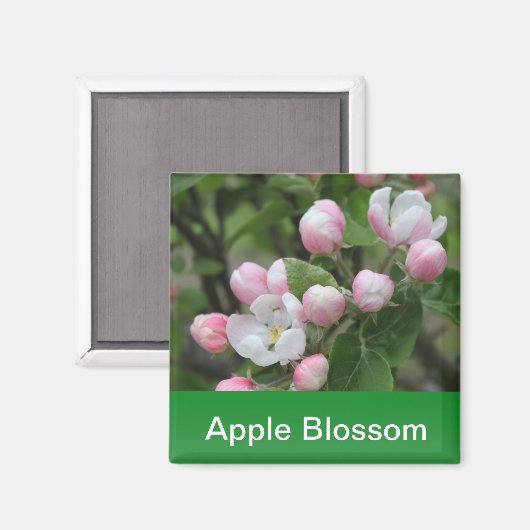 appelbloesem en groene bladeren magneet (Voorkant / Achterkant)