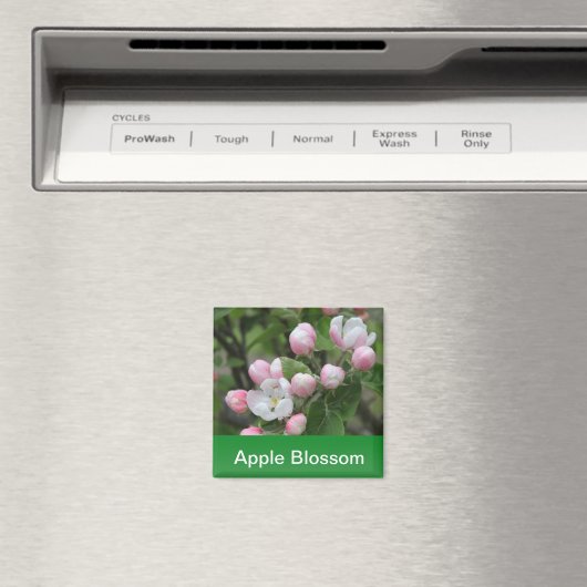 appelbloesem en groene bladeren magneet (Insitu (Vaatwasser))