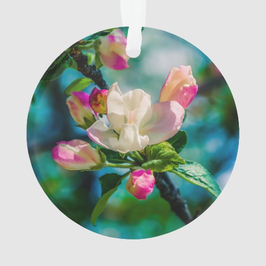 Appelbloesem en knoppen ornament (achterkant)