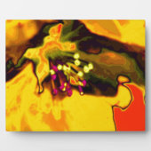 Appelbloesem Fotoplaat (Voorkant)
