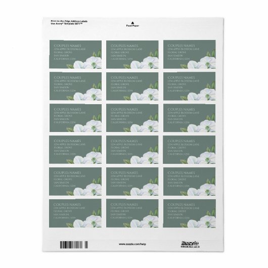 Appelbloesem Groene en witte bloem bruiloft Etiket (Full Sheet)