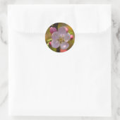 Appelbloesem in de lente ronde sticker (Tas)