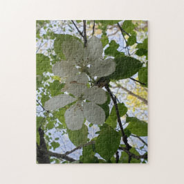 appelbloesem legpuzzel