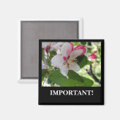 appelbloesem | Magneet (Voorkant / Achterkant)