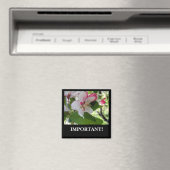 appelbloesem | Magneet (Insitu (Vaatwasser))