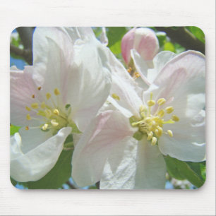 Appelbloesem muismat kwaliteit Lente Bloemen