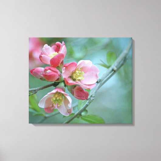 Appelbloesem #P0356 Ingepakt Canvas Afdruk (Voorkant)
