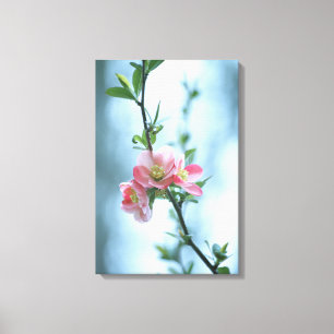 Appelbloesem #P0365 Canvas Afdruk